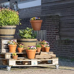 https://geulle-apartment.valkenburgaandegeul-hotels.com